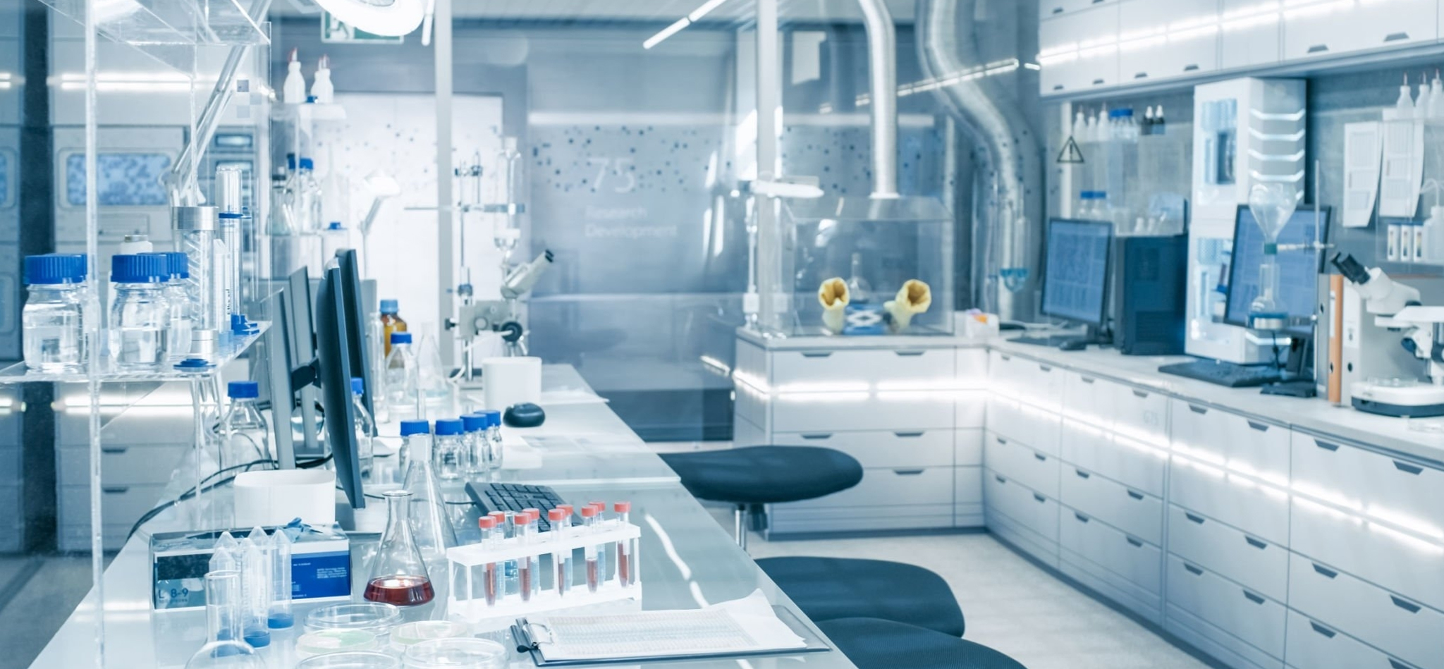 Bariatric Surgery Program